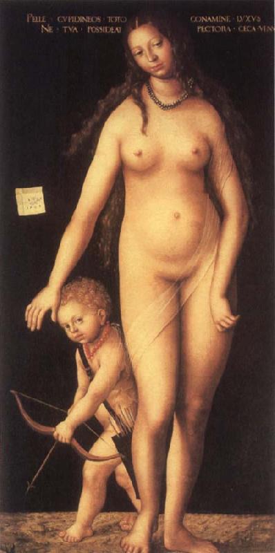 Lucas Cranach the Elder Venus and Cupid Norge oil painting art
